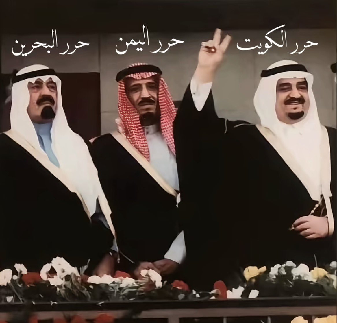 HqMOFA's tweet photo. https://t.co/rVTsILNWqN