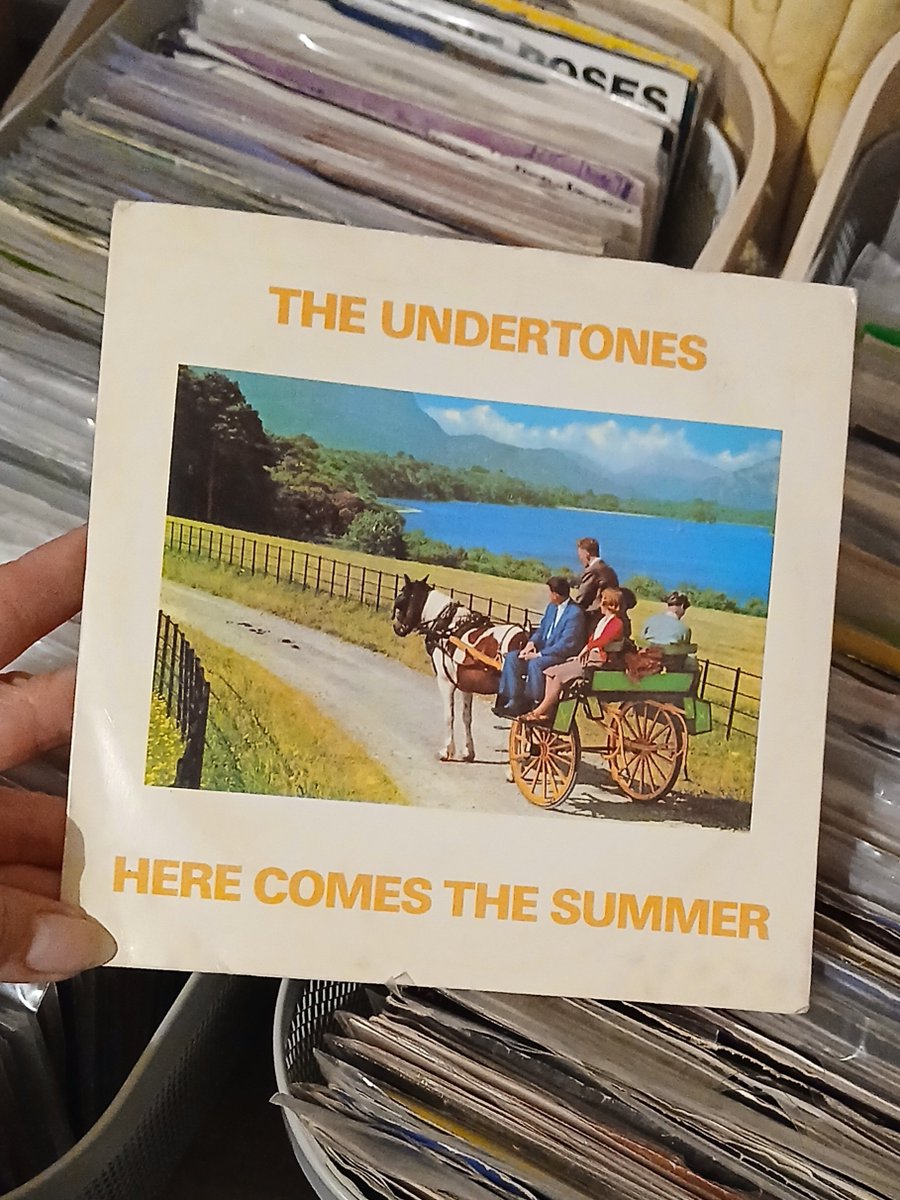 clairywairy88's tweet photo. "Oh baby baby, what can i do, you know you drive me crazy when i'm looking at you, the summer's nearly here and it's time to come out, time to discover what fun is about..." 💛 #HereComesTheSummer (1979) #TheUndertones 🩵 #FeargalSharkey #NewWave Happy Tuesday all.x 💛 https://t.co/NTgC3le4jb