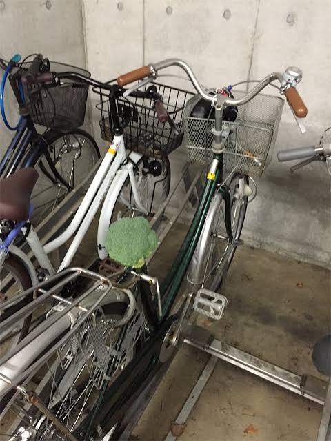 skonigsberg's tweet photo. ☔️静岡掛川浜松
😱サイクリングしようとしたら、サドルにブロッコリー🥦入ってる‼️
ネトフリでも見てホットケーキ🥞爆食い
ペダル漕ぎ漕ぎダイエット✌️
静岡浜松掛川から富士沼津まで藤枝磐田袋井さん達と島田の御前崎君牧之原工場機械手押し相撲部員と吉田さん熱海伊豆さん下田ちゃん富士宮湖西清水 https://t.co/M9snspuFG9