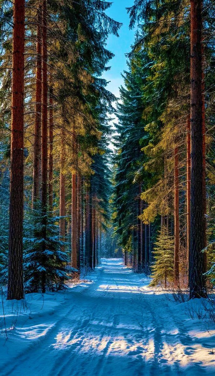 __Earthpictures's tweet photo. https://t.co/ykvh6HrjbZ