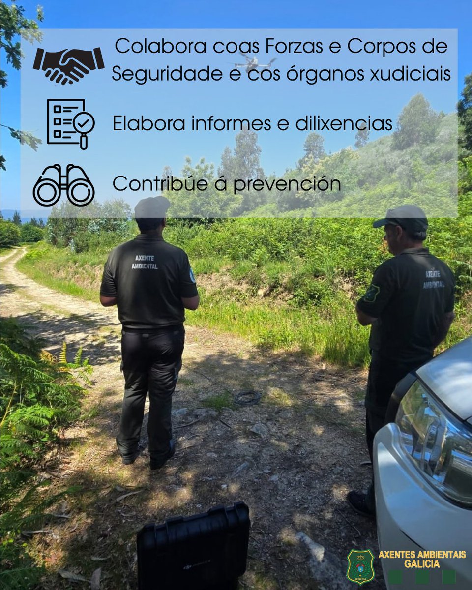 APRAFOGA's tweet photo. 🔥 O LUME APÁGASE. AS PEGADAS QUEDAN.

🔎 A UIFO dos Axentes Ambientais de Galicia investiga cada incendio para localizar o punto de inicio, analizar os vestixios e determinar as causas.

🧵 1/2

#UIFO #IncendiosForestais #Galicia https://t.co/6tP0CzMm3f