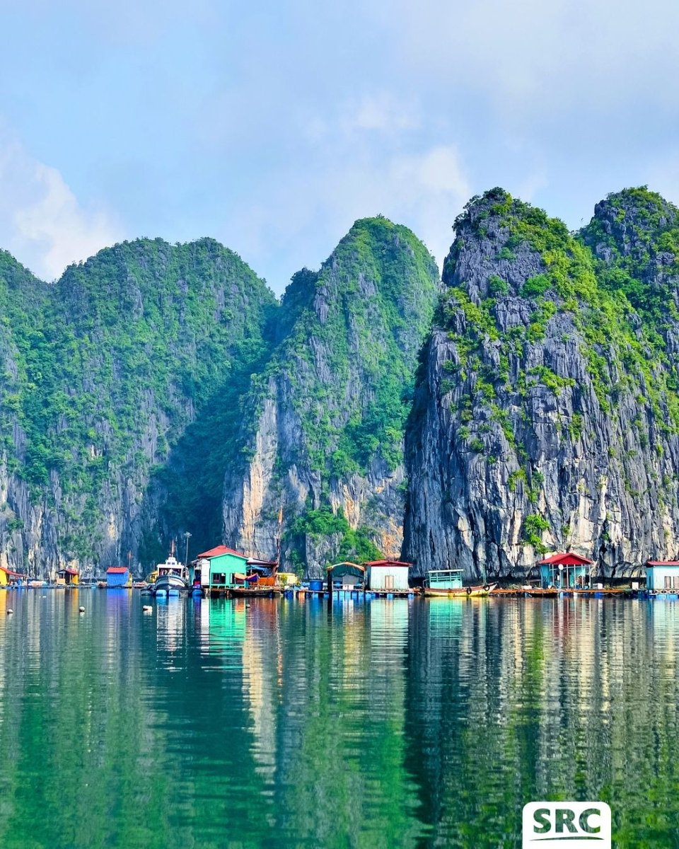 LeteBb's tweet photo. 🇻🇳🏮 Idyllische baaien, rijzende bergen en kleurrijke tempels: Vietnam is een lust voor het oog! Franse balkonnetjes in Hanoi, volgestouwde brommertjes in de straten, buffels in frisgroene rijstvelden en vrolijk gekleurde lampionnen in Hoi An: je https://t.co/URUvxlYSKn