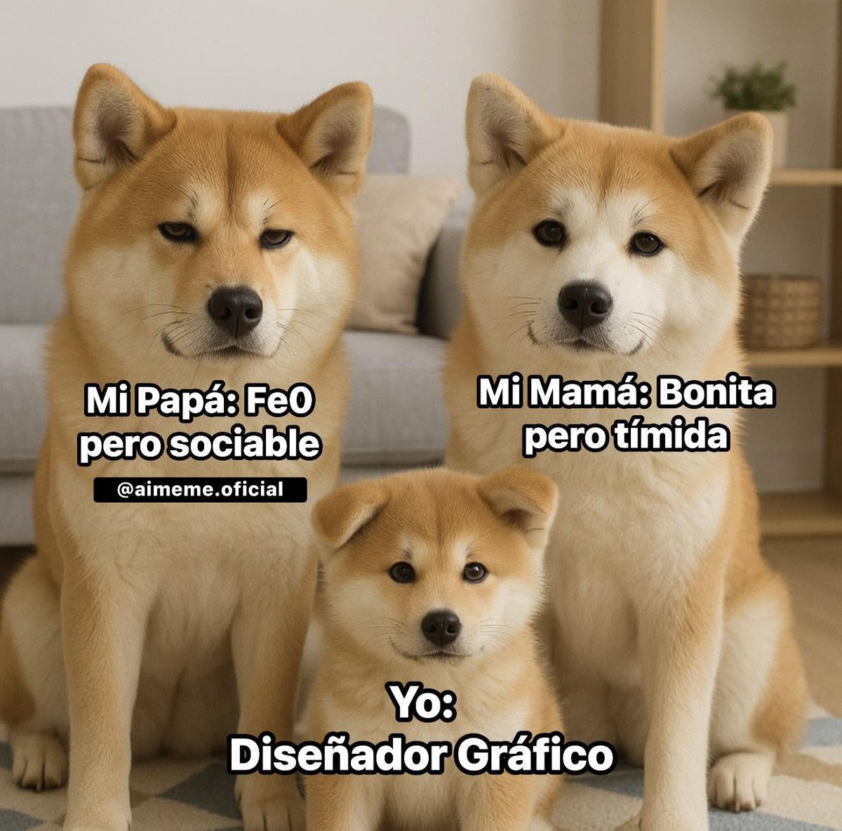 GTechDesignNet's tweet photo. #martes 😇
🐶 Introducción a la fotografía de perros 📸 👉 https://t.co/qD8tQNWoyb https://t.co/fnye0vLOni