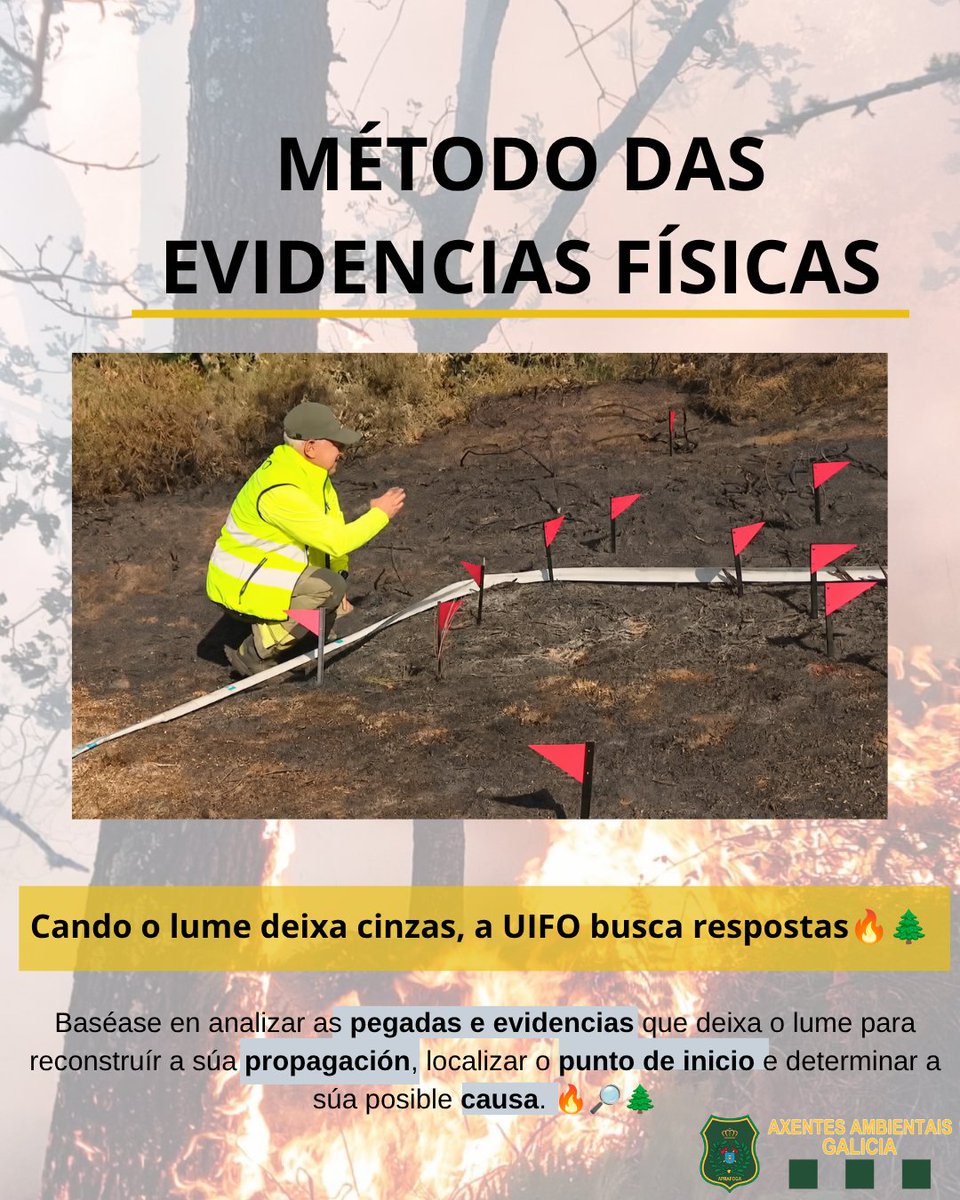 APRAFOGA's tweet photo. O método das evidencias físicas permite reconstruír a propagación do incendio, localizar o punto de inicio e determinar a súa posible causa. 🔎👣

🧵2/2

#evidenciasfisicas #policiaxudicial https://t.co/th02Pzg7VQ