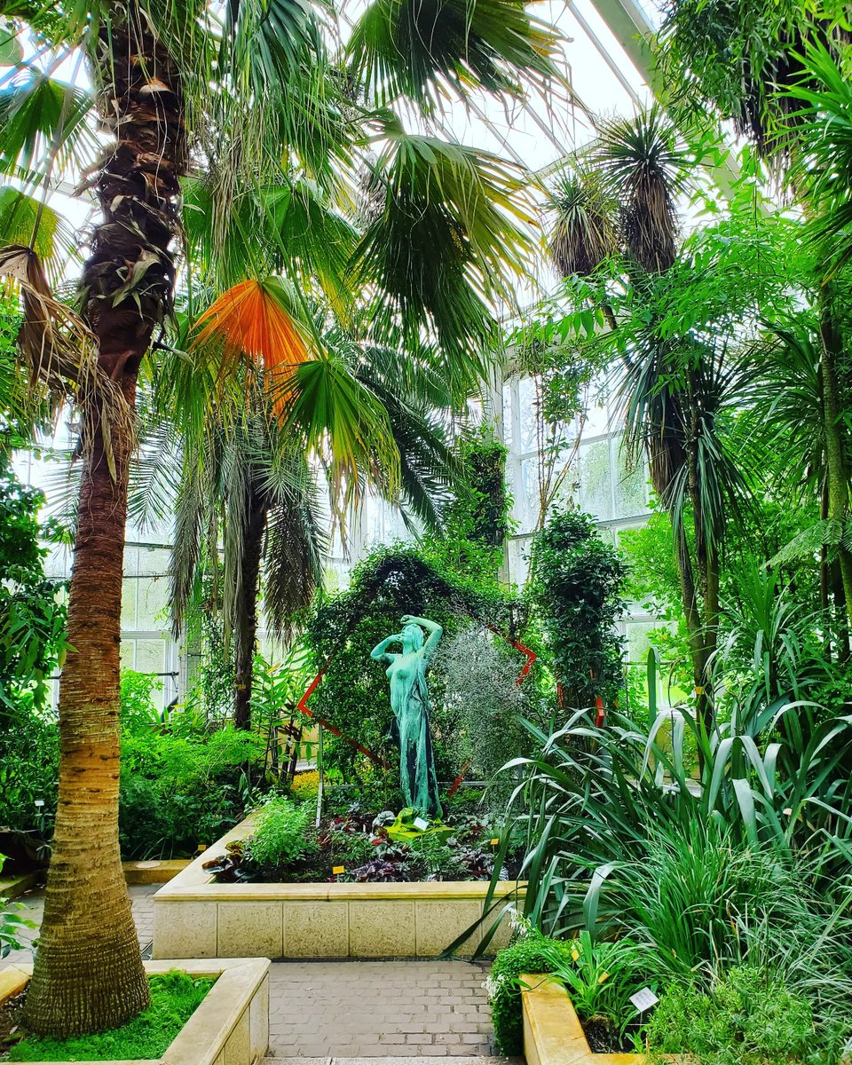 PretobCarlos's tweet photo. Meise botanical garden 💚

#wanderlust #adventureseeker #doyoutravel #travelmore #goexplore #wonderfulplaces #openmyworld #lovetotravel #adventurethatislife #roamtheplanet #Travelbook #Traveller #Travel_Captures #Instatravel #SeeTheWorld https://t.co/35MXb1JVbS