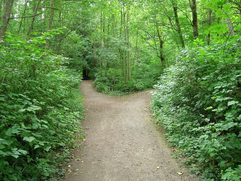 _couut's tweet photo. Sometimes one can feel stuck in life ⬅️➡️

Which direction? Where to go? It happens to me too…🙄
Very often indeed

You’ll find a way! Your way! Follow your ❤️! Your #dreams will show you the way! #coaching #lifecoaching
#walkyourchange https://t.co/LqlE7Orun2