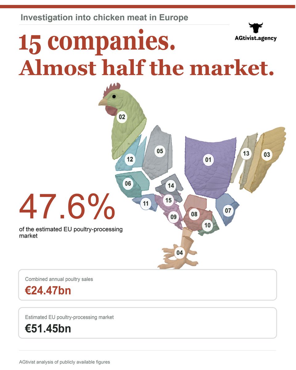 Act4AnimalsEU's tweet photo. Stronger animal welfare rules would “hurt farmers”, we’re told. 

Yet a new investigation exposes who holds the power in Europe’s chicken industry: https://t.co/y8LwL1Qe0K 

15 companies account for almost half the EU market. Only one is farmer-owned.

The story doesn’t hold up. The EU must act. 

#ForwardforAnimals @EU_Commission @CHansen_EU