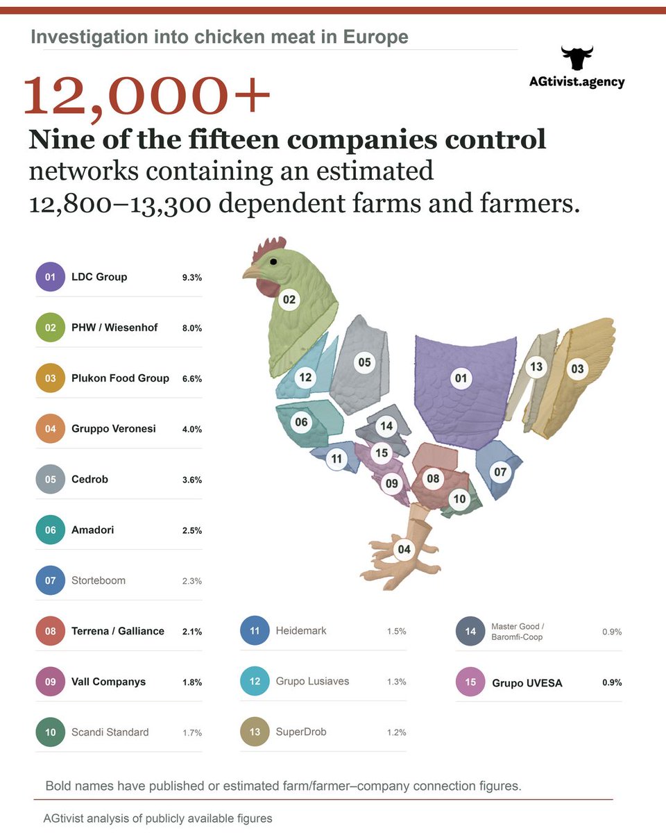 Act4AnimalsEU's tweet photo. Stronger animal welfare rules would “hurt farmers”, we’re told. 

Yet a new investigation exposes who holds the power in Europe’s chicken industry: https://t.co/y8LwL1Qe0K 

15 companies account for almost half the EU market. Only one is farmer-owned.

The story doesn’t hold up. The EU must act. 

#ForwardforAnimals @EU_Commission @CHansen_EU