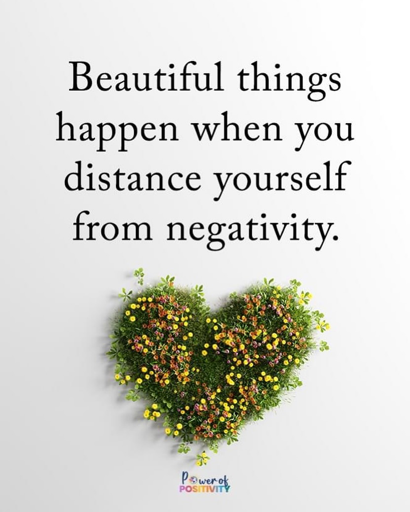 LIVEpositivity's tweet photo. Beautiful things happen when you distance yourself from negativity. 🌸✨ https://t.co/rGmaG9pEKJ