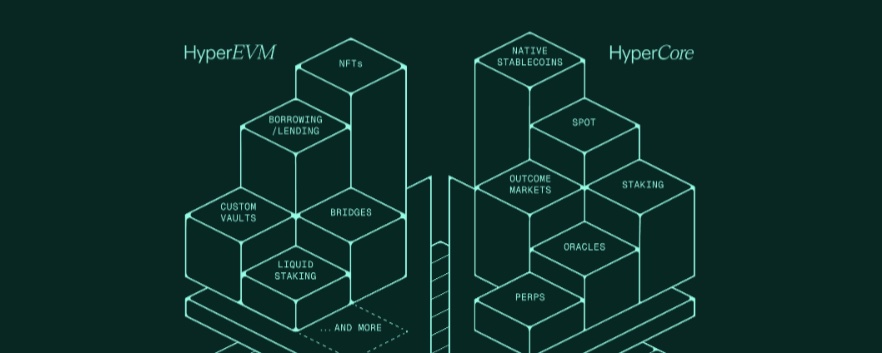 Hyperliquid DeFi: an Intervention