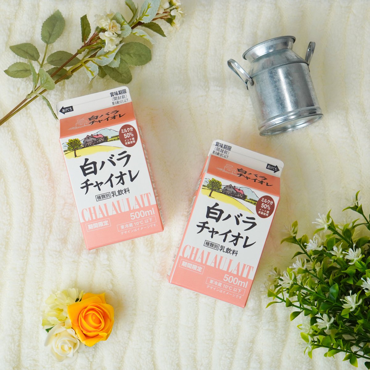 daisen_nyugyo's tweet photo. ＼ 期間限定販売中！✨／
🧡🤍白バラチャイオレ🤍🧡
8/31に登場した注目の新フレーバー、皆さんもう試されましたか？？👀💭

「〇〇のスーパーで見つけた！」「〇〇県でも買えたよ！」など、皆さんの目撃情報や飲んだ感想をぜひ教えてくださいね！👇 https://t.co/TOG7U77Jzn