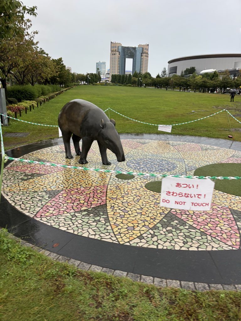 jnsyws's tweet photo. さむいからさわりたい https://t.co/vTLre0Gl7w