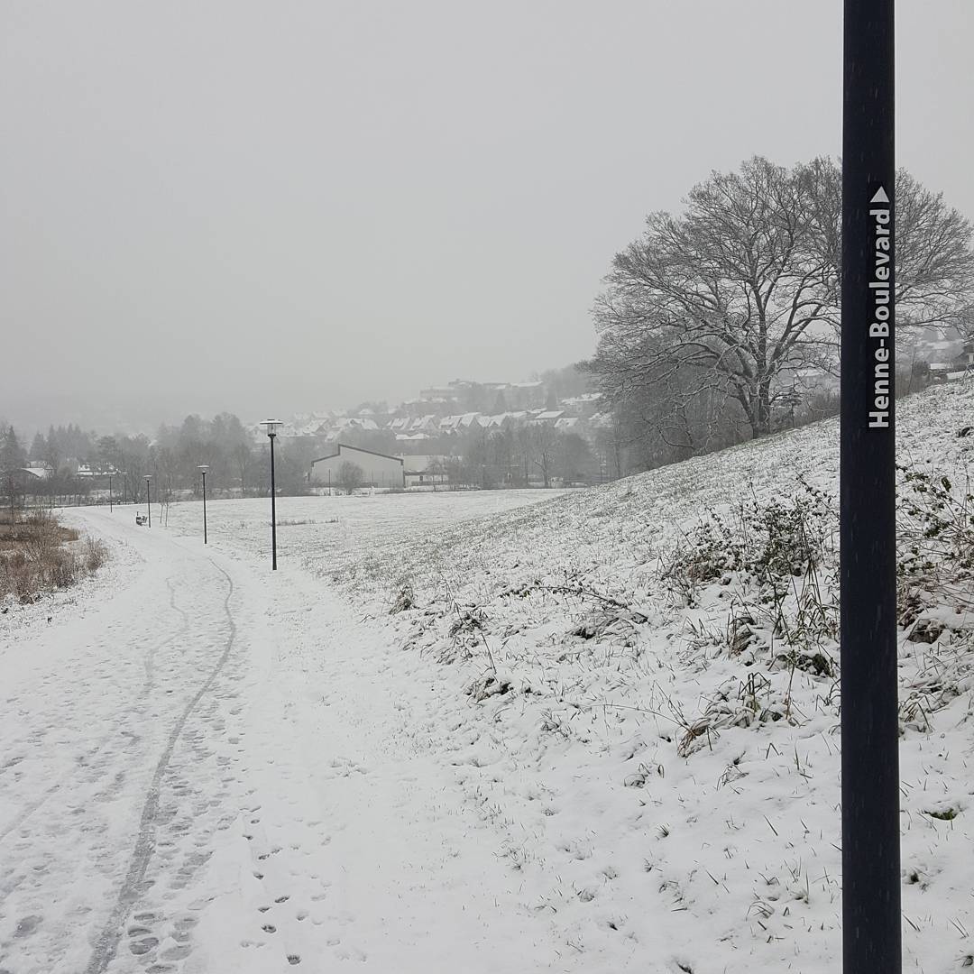 patricia897's tweet photo. Halbes Jahr später. #meschede #sauerland #wanderlust #heimatliebe #hennesee #henne #boulevard #snow #schnee #vakantie #nature #outdoor #hiking #hike #winter #walking #cold #kalt #pictureoftheday #wandern #sunday #sonntag https://t.co/IeOtMTlpAR