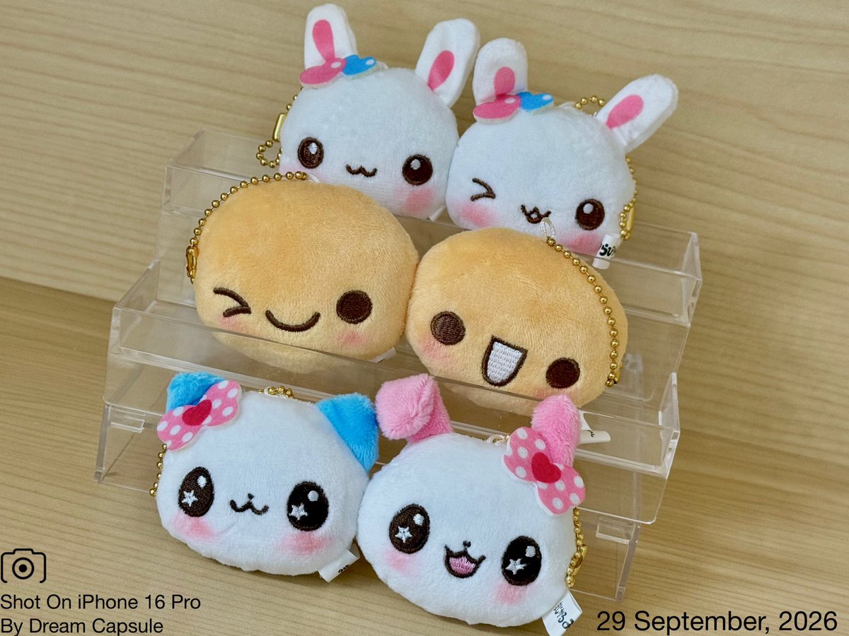 dreamcapsuleCEO's tweet photo. 🌟新入荷ガチャ商品プレゼントCP🌟

ほっぺがくっつく💕懐かしキャラのキーホルダーが登場！
「平成メモリー ぴたこっとキーホルダー」

フォロー&amp;RP(RT)していただいた方の中から抽選で2名様に全6種セットをプレゼント🎁

ドリカプへの入荷日とキャンペーン詳細は↓

#ドリームカプセル #ガチャ専門店 https://t.co/8LX4tHCv8Z
