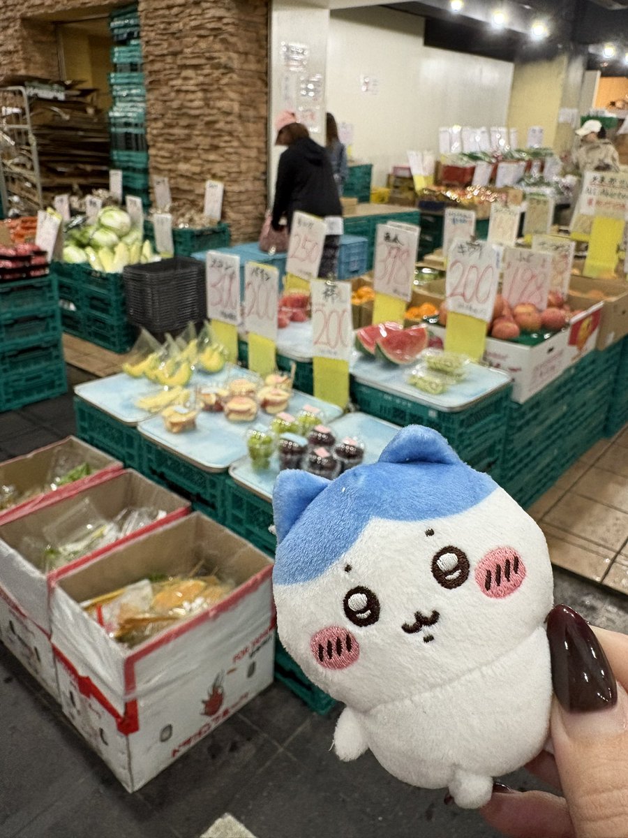 Neon_10_na's tweet photo. お目当ての青果屋さん https://t.co/9sBBHUgQ6W