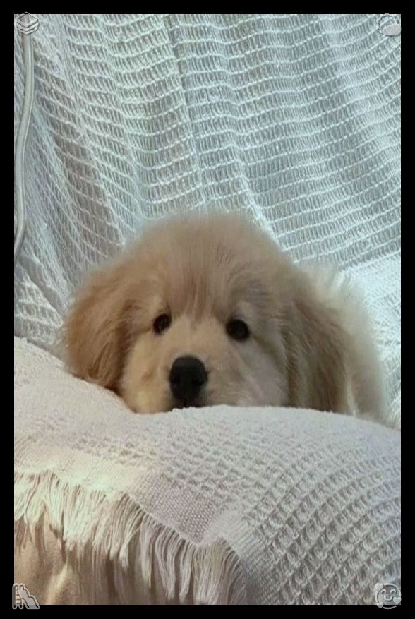 MS_____24's tweet photo. 🪐White lampshade on the lampStep out of comfort zones, face small new challenges bravely, record lessons after every try. Each uneasy attempt toughens your spirit and expands all the wonderful things you are capable of achieving in life’s long journey. https://t.co/fSIyOKaxWV