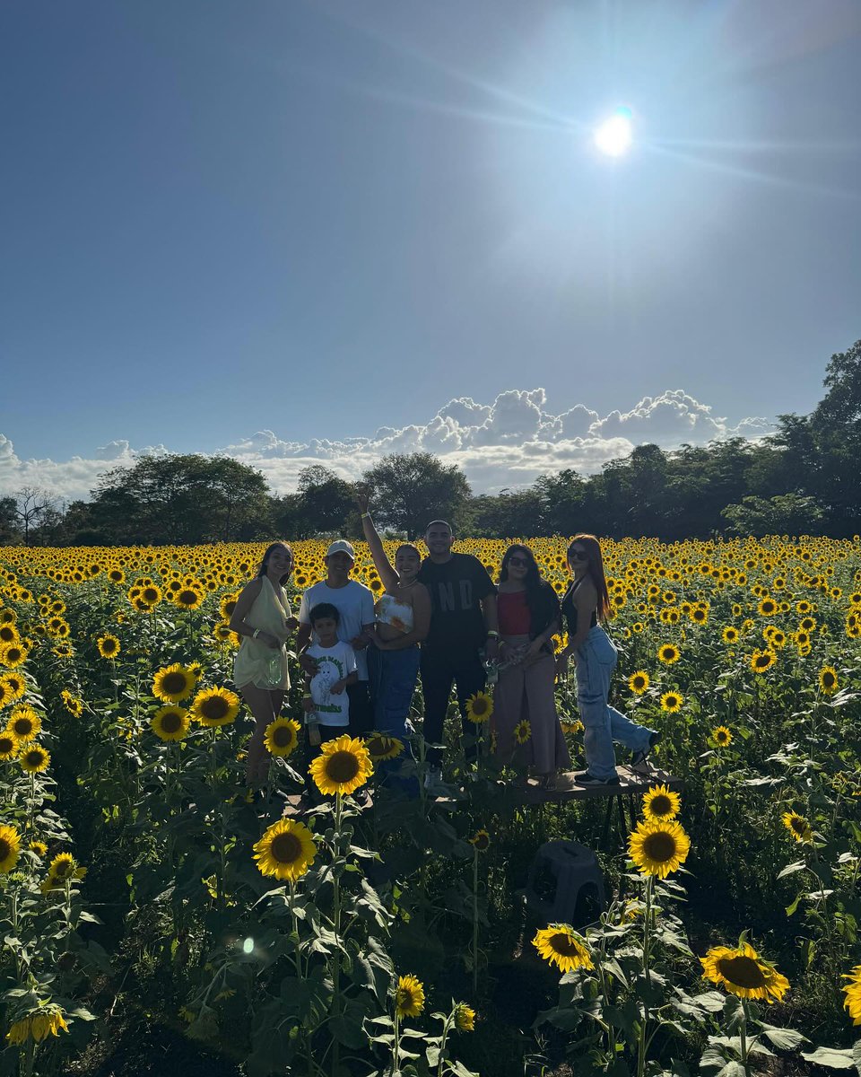 antunes23's tweet photo. No es vivir es (sentirse vivo 💘) 🌻🌼🧡 @danimurillo33 @yuliedgarcia23 @viviananarino https://t.co/kHgegmy8qA