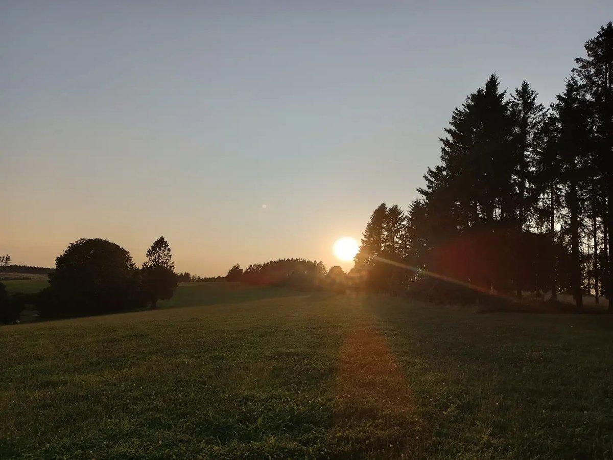 justme2by2's tweet photo. Den Sonnenuntergang in der Heimat genießen ☀️🫶🏼

#sonnenuntergang #heimat #sundown #sommer #summervibes #waldliebe #outdoor #outdoorlovers #unterwegs #wanderwelt #wandern #wanderlust #hiking #natur #nature #naturephotography #landschaft https://t.co/oHc4dRmqU8