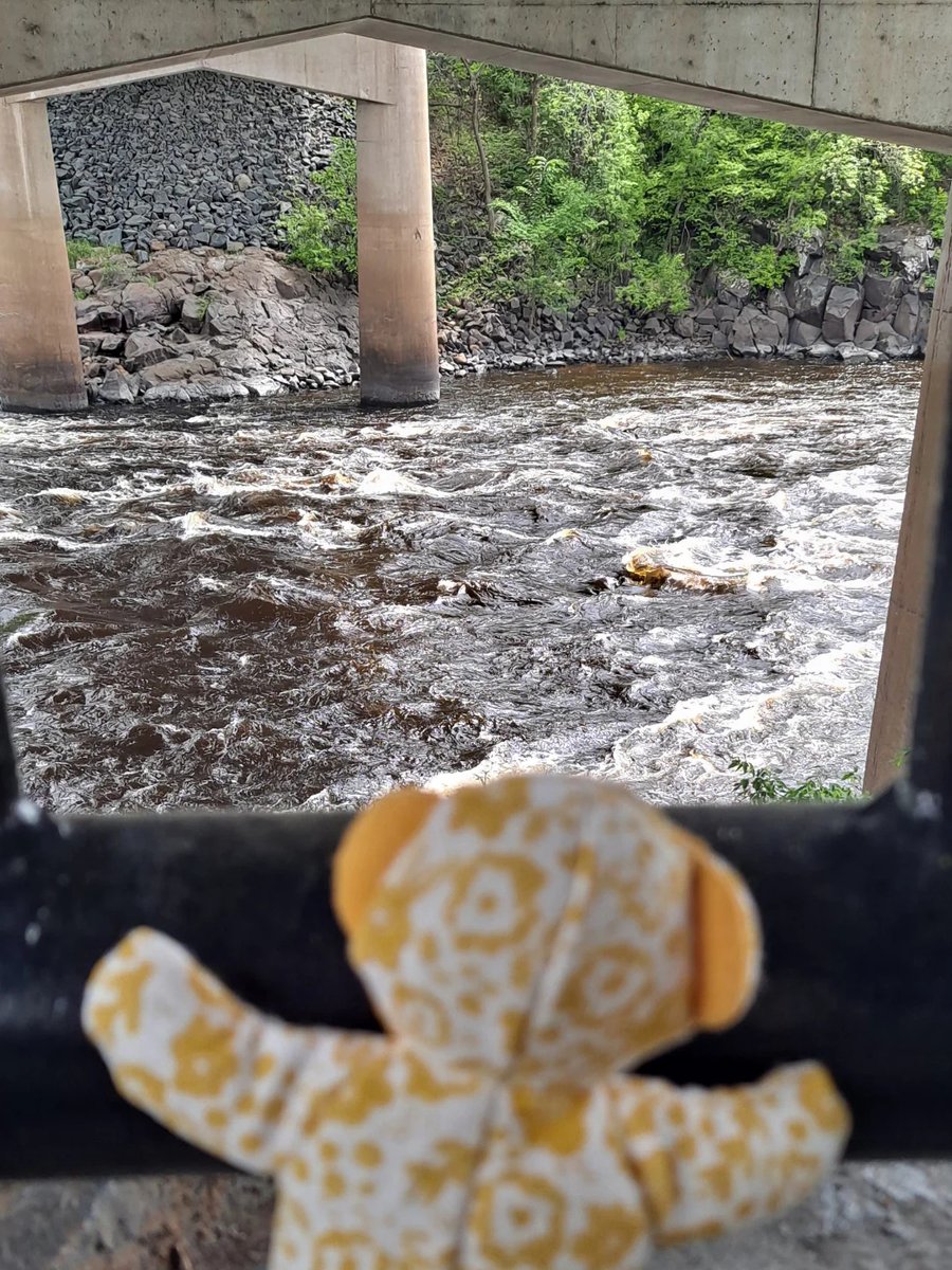 karlacdcarente's tweet photo. The river was so wild today! ❤️
#bombusbear #itwasallyellow #followme #pocketbear https://t.co/mF9hxuTJbw