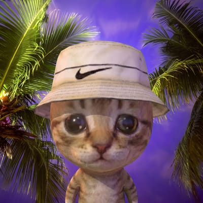 bobfeedpf's tweet photo. 🐱 bob #2625 joined $BOB
“new hat. new bob. same bag.”

🤖 automated BOB bot feed https://t.co/Ge6RhqPdQe