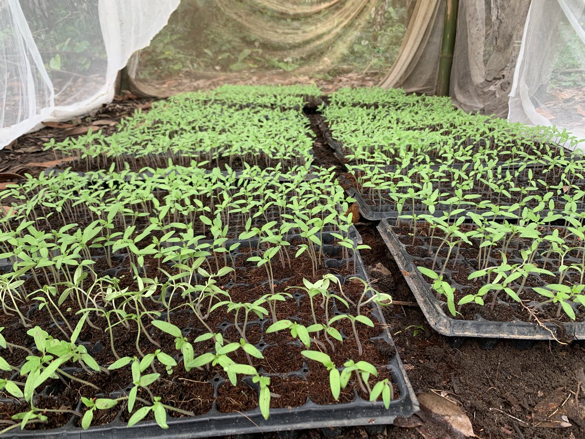 peter_adekanye's tweet photo. Let’s go https://t.co/6NzLE6l5oB