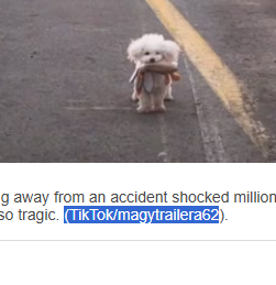 DrKippah's tweet photo. proof its coco

owner is still posting videos

https://t.co/CvRmGHyUoT

https://t.co/mtMh5PKvBo
https://t.co/uMiFa6jkQo https://t.co/x2oVvIYQEp