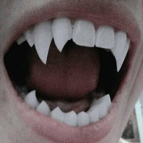 gothicornate_ tweet picture