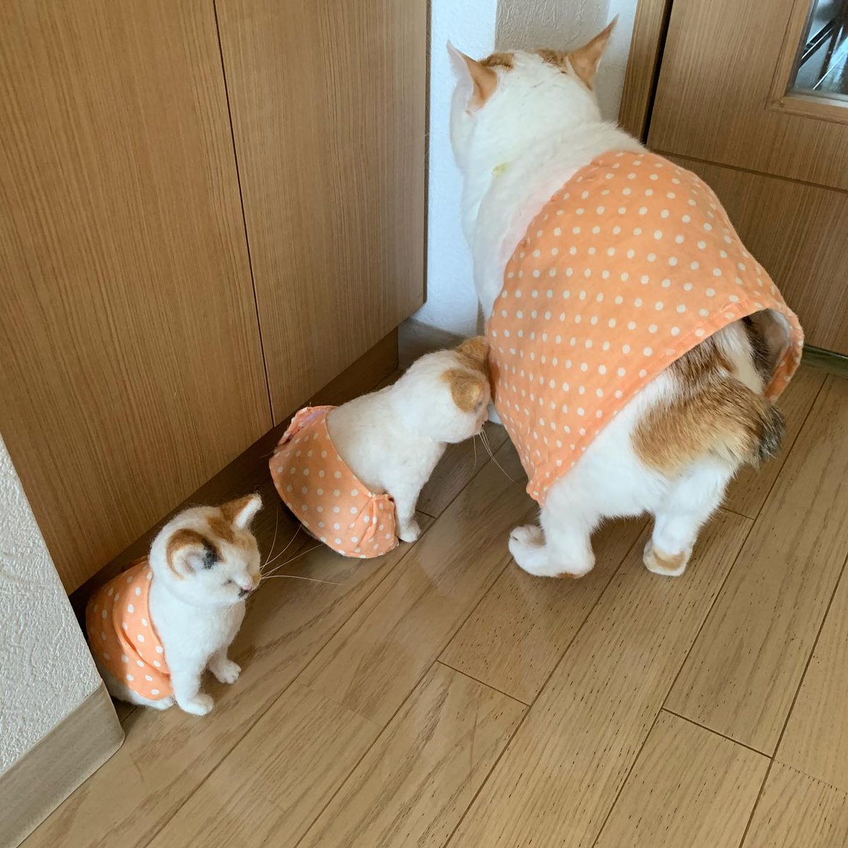 RebeckaRobaina's tweet photo. 複製された反響が虚しく響くだけの部屋で、自分という主語の輪郭すらあやふやになっていく。まあ、別に消えても誰も困らないか。 https://t.co/r3YOaVLRFS