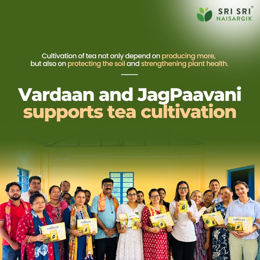 artofliving_SSN's tweet photo. Sri Sri Naisargik is advancing sustainable tea cultivation across North Bengal with Vardaan &amp; JagPaavani.

Nurture the soil. Strengthen the plant. Grow sustainably. 🌿 https://t.co/Ht38L1bJu2