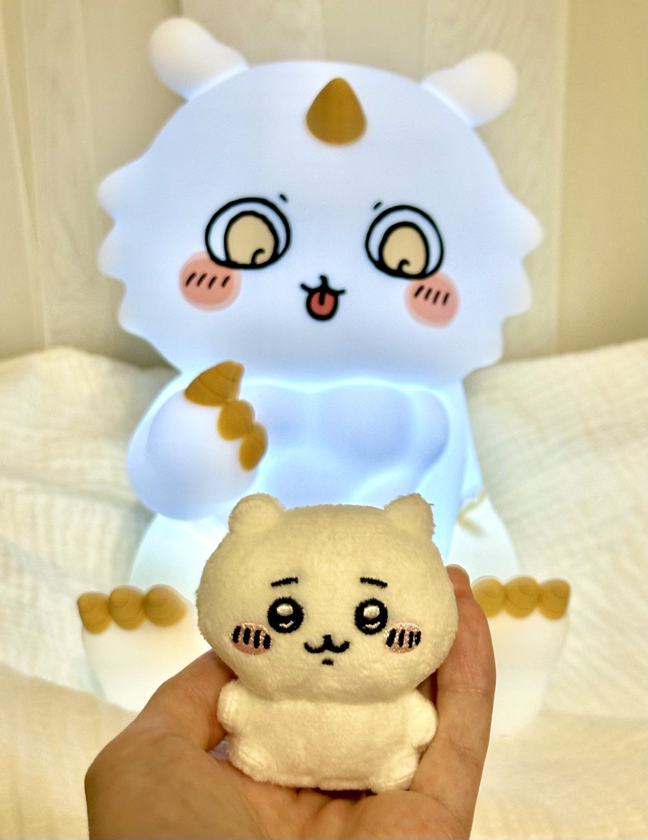 325_micco's tweet photo. ちっちゃ可愛いちいかわぬいをお迎えした！

サイズ感…良い…☺️ https://t.co/mlUNZqVBsc