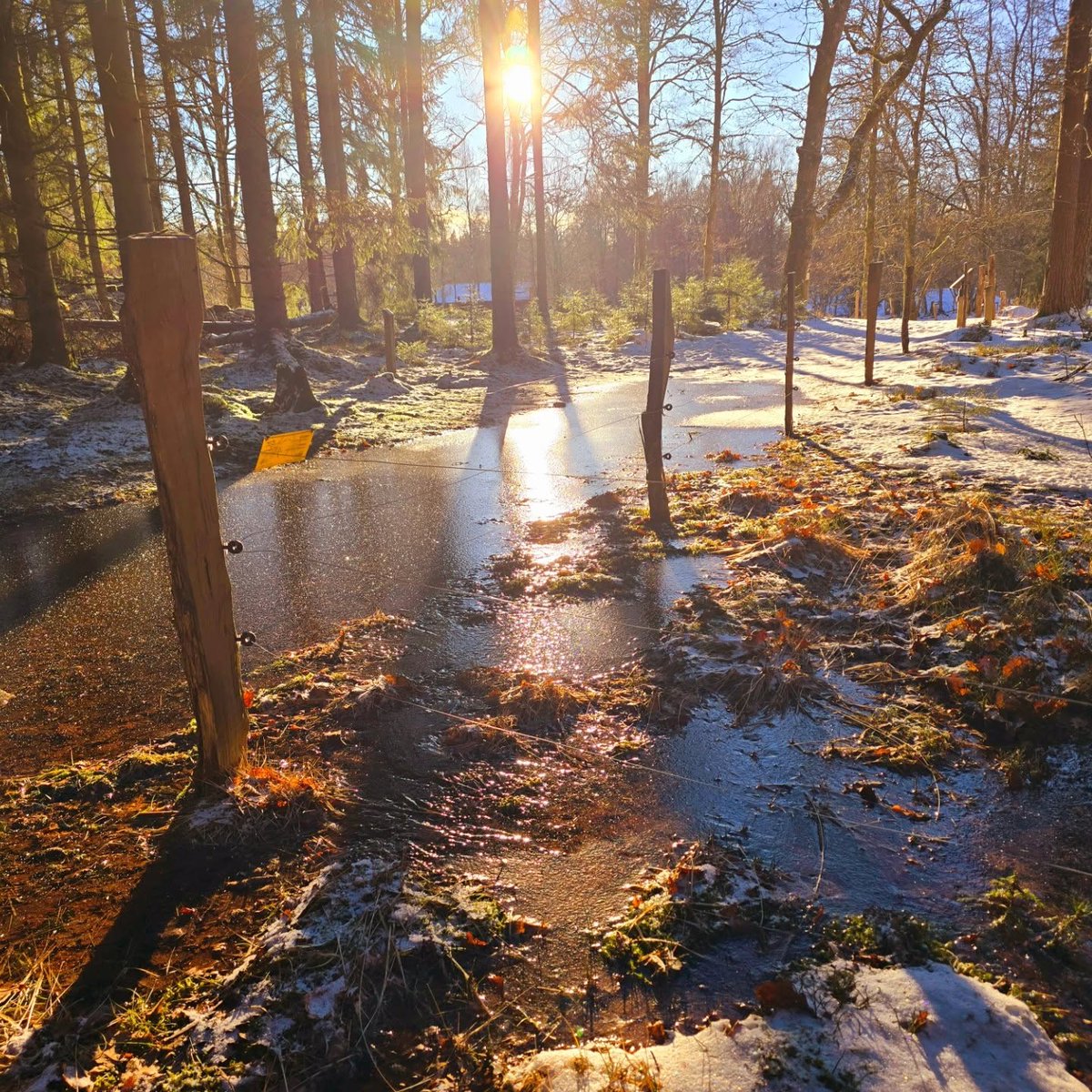 33683341's tweet photo. Mały spacerek po lesie.. en liten promenad i skogen https://t.co/i4mlnuHDPo