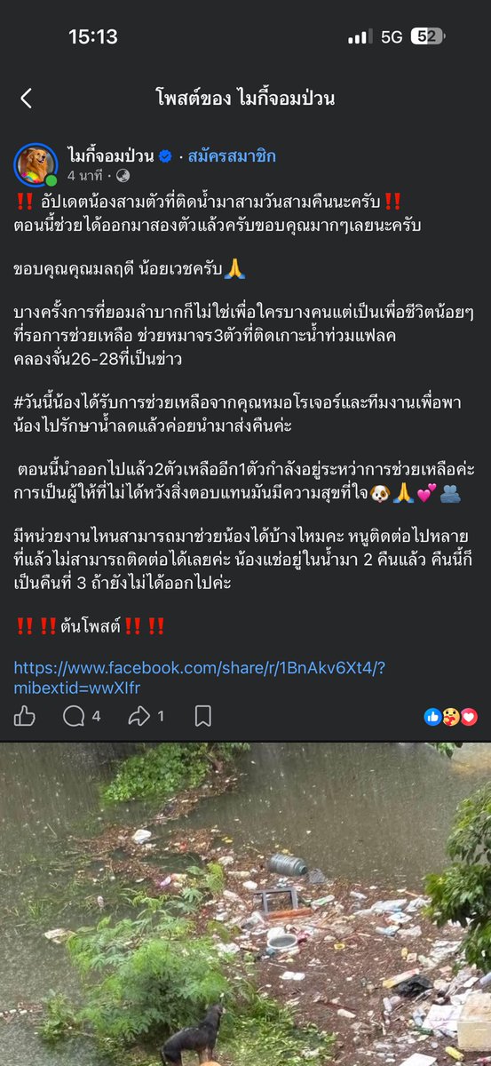malimalineee's tweet photo. https://t.co/c0Kp6KCch2