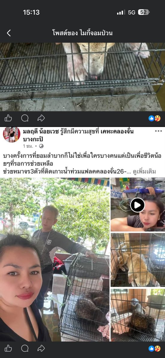 malimalineee's tweet photo. https://t.co/c0Kp6KCch2