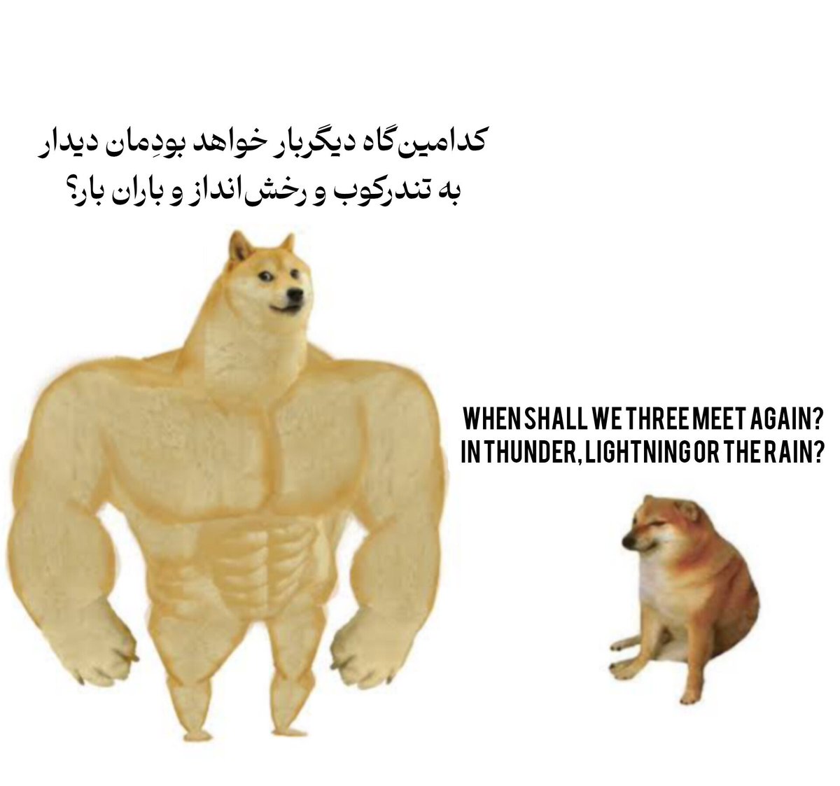 Dokisoheil's tweet photo. ابهت زبان فارسی در برابر قلم شکسپیر https://t.co/ma8VumI8Xe