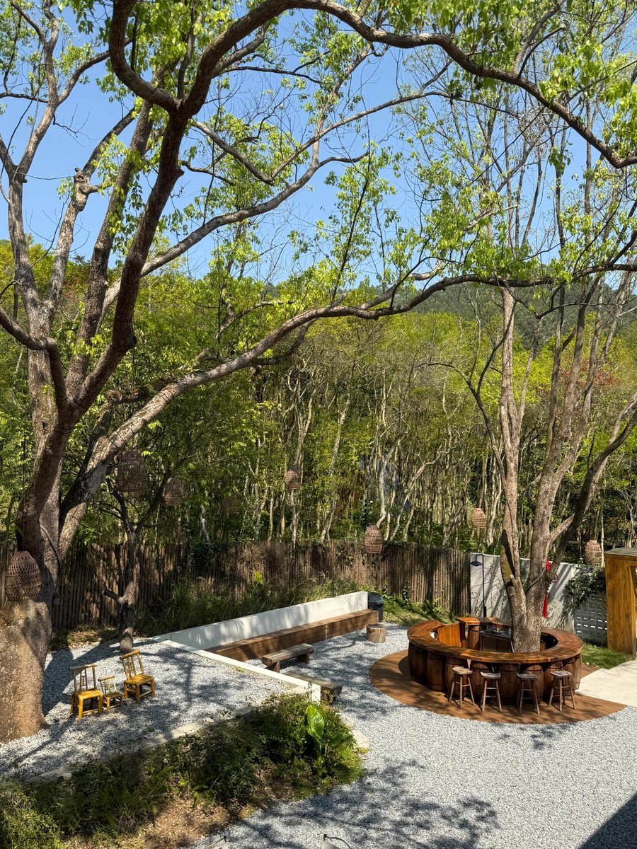 emilgary768709's tweet photo. Just found the coziest sunspot on my balcony with a iced latte and my favorite playlist  Perfect slow afternoon vibes!， https://t.co/fgnavSNyE6