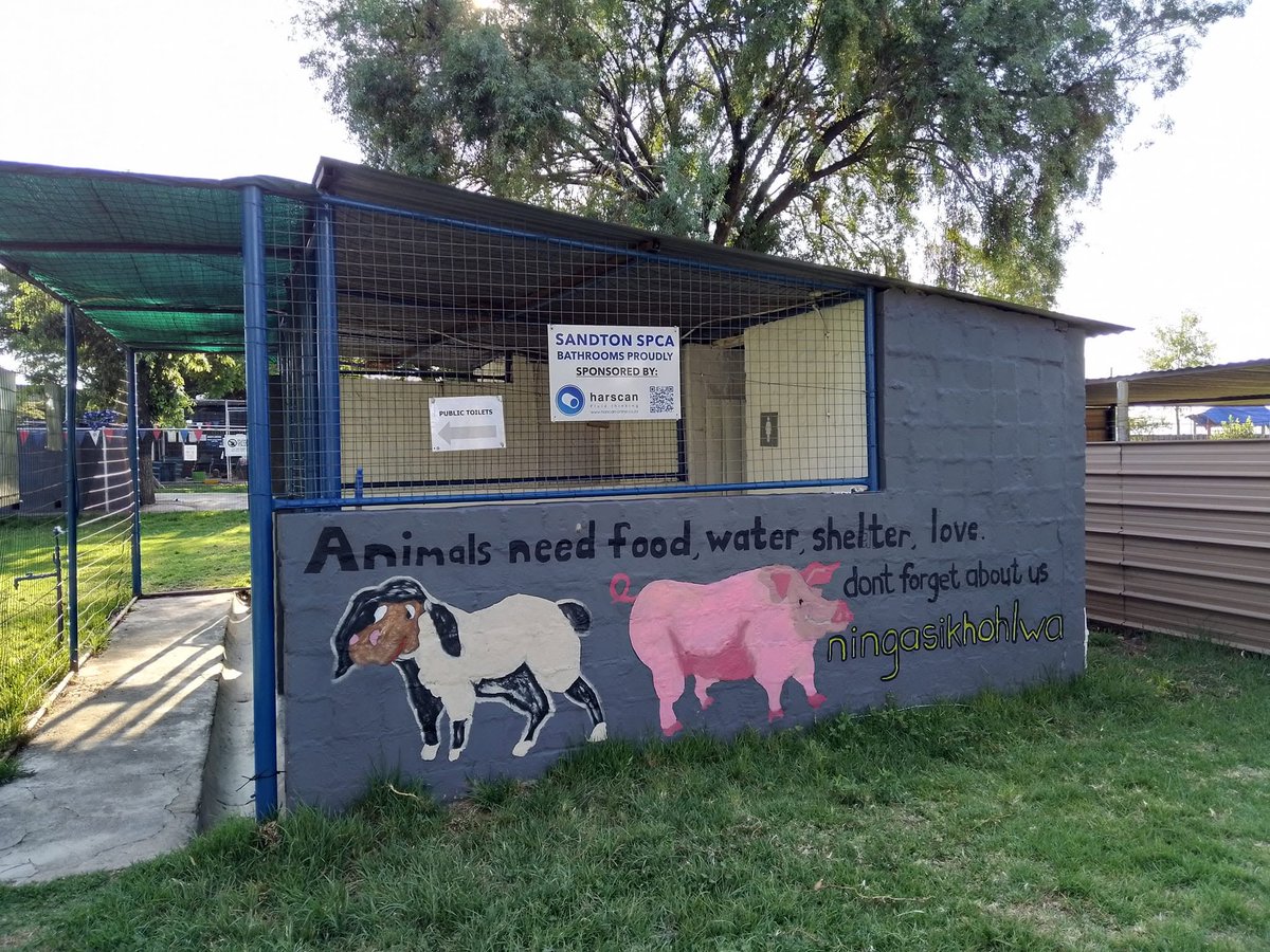 forgoodSA's tweet photo. A blank wall can become a maths or geography lesson. CEEP helps volunteer teams turn learning spaces into educational murals. What would you paint on a classroom wall? https://t.co/1hS5PyS403 #literacymonth https://t.co/lnaqvtX2Q3