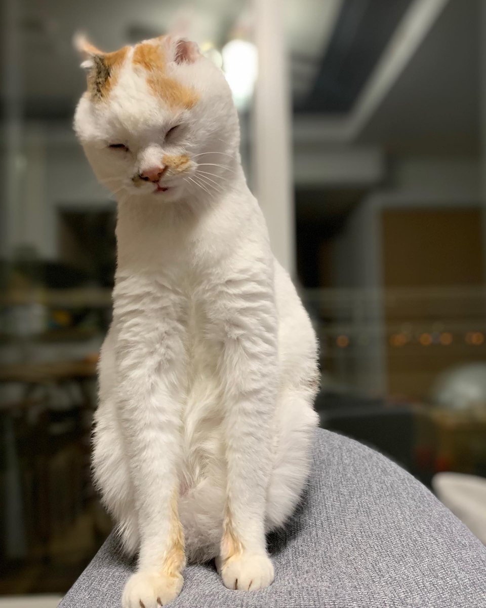 MavisBacolor's tweet photo. 積み上げた思考が静寂に溶けていく。沈黙を愛せるようになったのは、いつからだろう。皆さんは、自分ひとりの時間とどう向き合っていますか。 https://t.co/TgDsp4NxVb