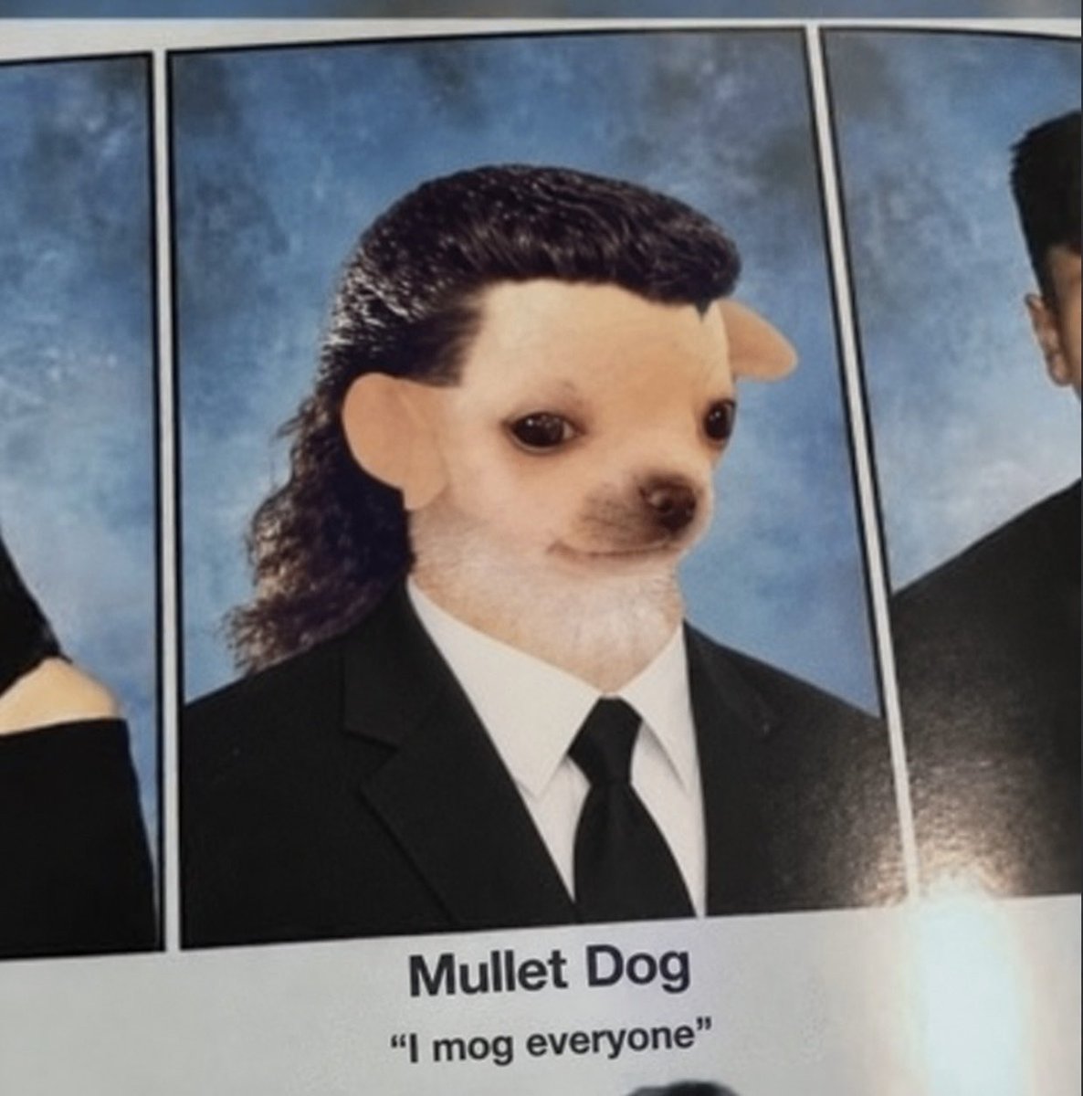 mulletdogpf's tweet photo. @moneymaykah_ The mullet ignites your moms fire crotch https://t.co/J2zB0RVjYG