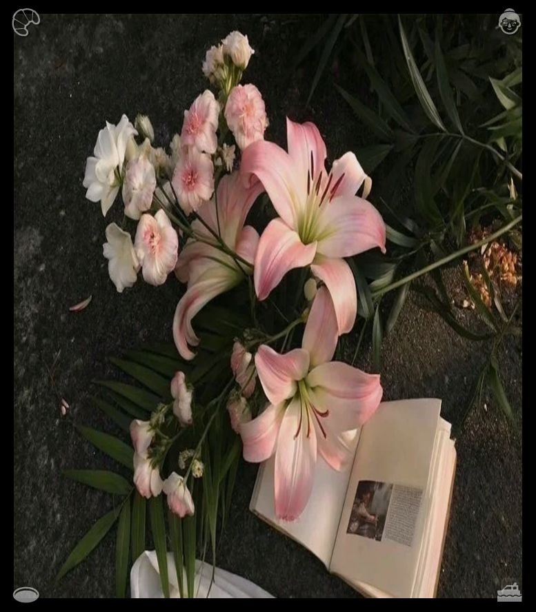 NBOX48110807's tweet photo. 😕Brew chamomile tea Calms, with all one's heartHide social media comparison content completely, only record your own growth on plain paper. Embrace your exclusive life timeline, struggles and victories without endless unfair daily contrast. https://t.co/fucusmZ7Ho