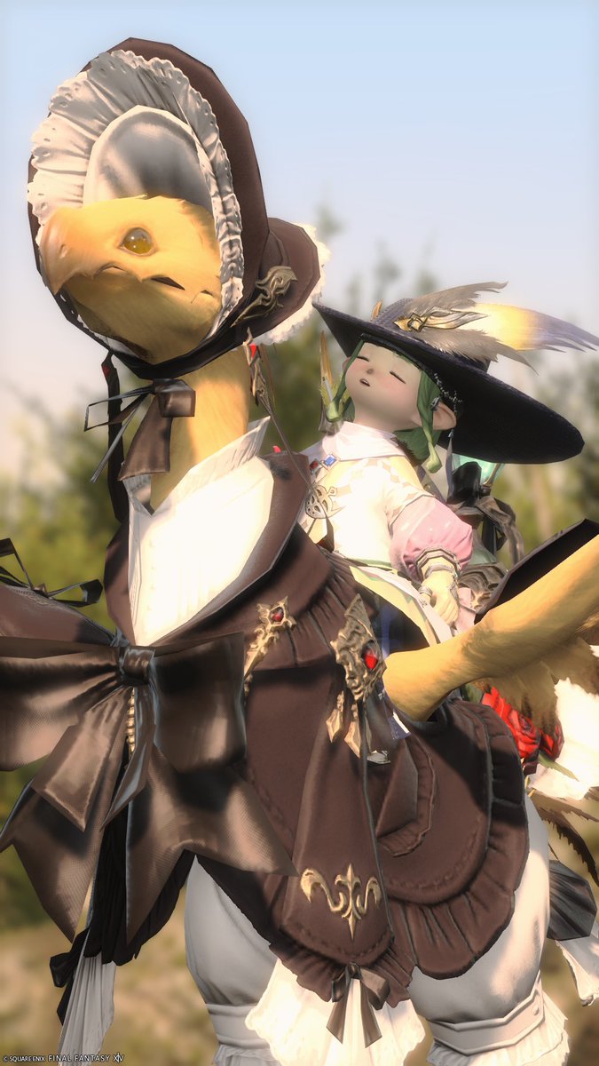 majin_mu_nanoda's tweet photo. 戦士の黄道十二文書も残り3冊📖
FATEが湧かない...
#FF14 #ZW #魔神むうの冒険録 https://t.co/Y19SYi9YsV