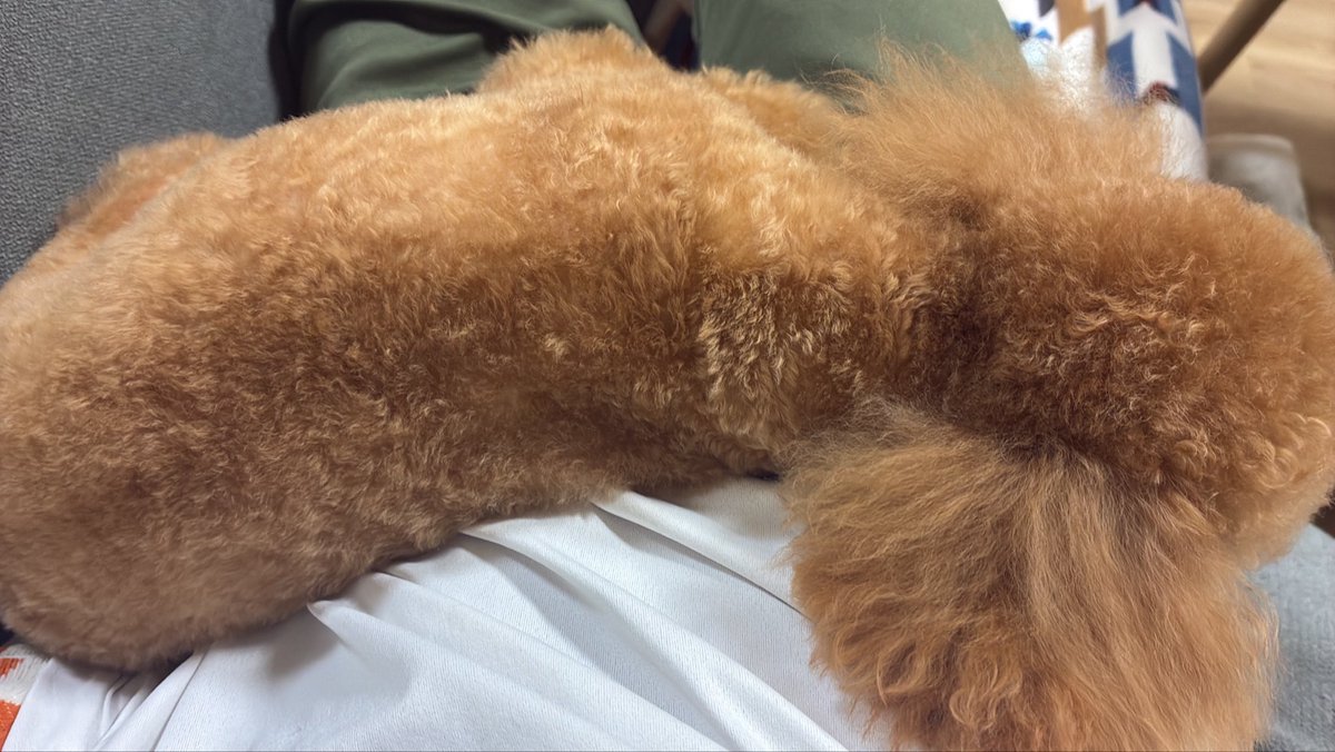 tkm__09's tweet photo. テスト勉強しようと思ったのにこれ https://t.co/nQVAoeNyxC
