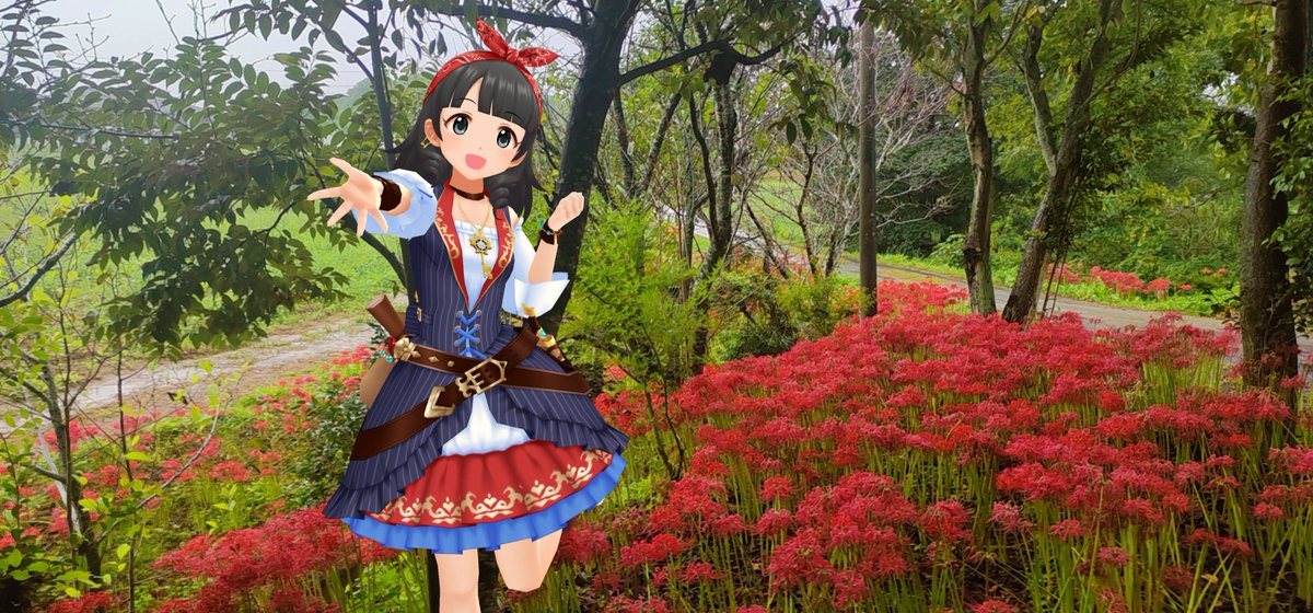 cctaz's tweet photo. 豊橋市、睦美の彼岸花を撮ってきました。雨中での撮影になったのでOM-1+12-200とK-1Mk2+DFA100WR 
もう色あせた花も多かったですが、まだギリギリ見頃を保ってるかという感じでした 
#デレスポAR 
#岡崎泰葉 
#氏家むつみ https://t.co/XBKHZW1lwV