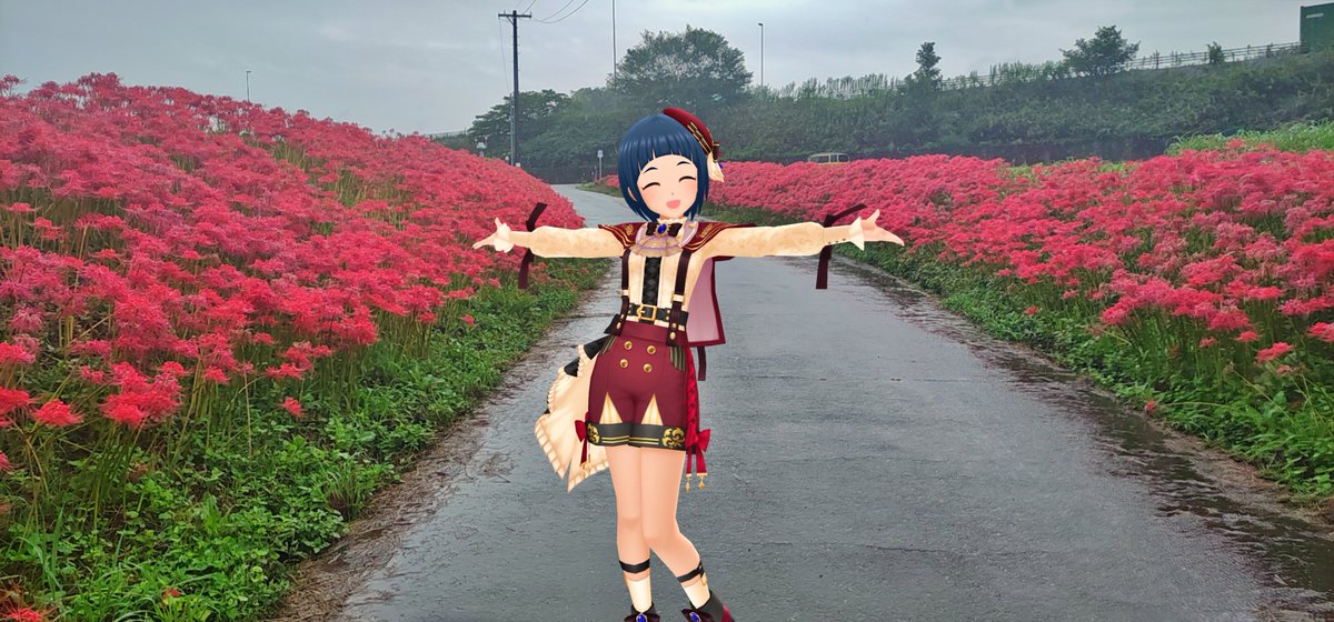 cctaz's tweet photo. 豊橋市、睦美の彼岸花を撮ってきました。雨中での撮影になったのでOM-1+12-200とK-1Mk2+DFA100WR 
もう色あせた花も多かったですが、まだギリギリ見頃を保ってるかという感じでした 
#デレスポAR 
#岡崎泰葉 
#氏家むつみ https://t.co/XBKHZW1lwV