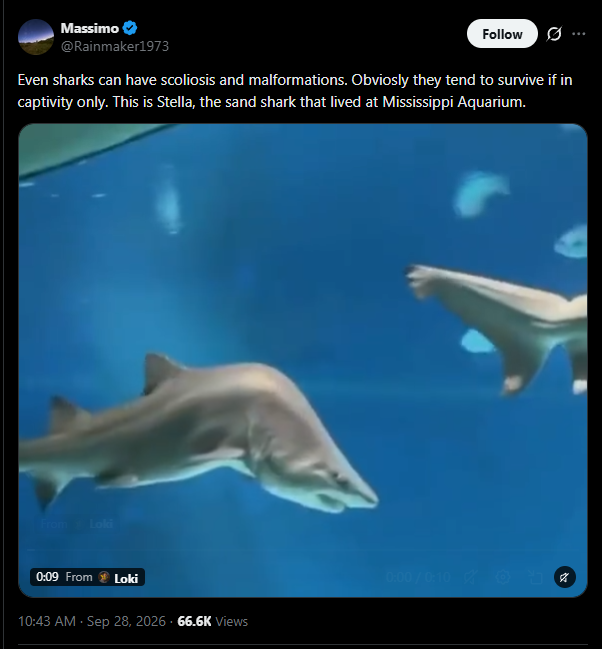 y0urmakerrr's tweet photo. @uncquant Super viral, 60k views damn https://t.co/oTNkWuWBmI