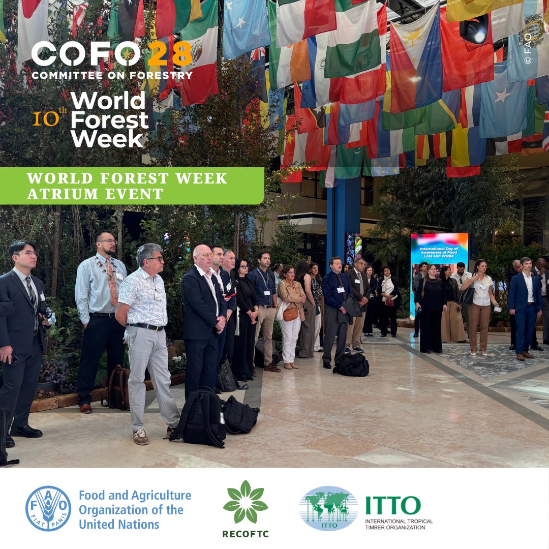 FAOinNENA_EN's tweet photo. 🚨Live at #COFO28, #NENFIRE is intervening at the 10th World Forestry Week!
@Georgehmitri is representing the network, discussing integrated fire management in the Near East and North Africa, as well as the new proposed Fire Information System, NENA-FIS. 🔥🌳 #IFM https://t.co/IUMQLvXSPi