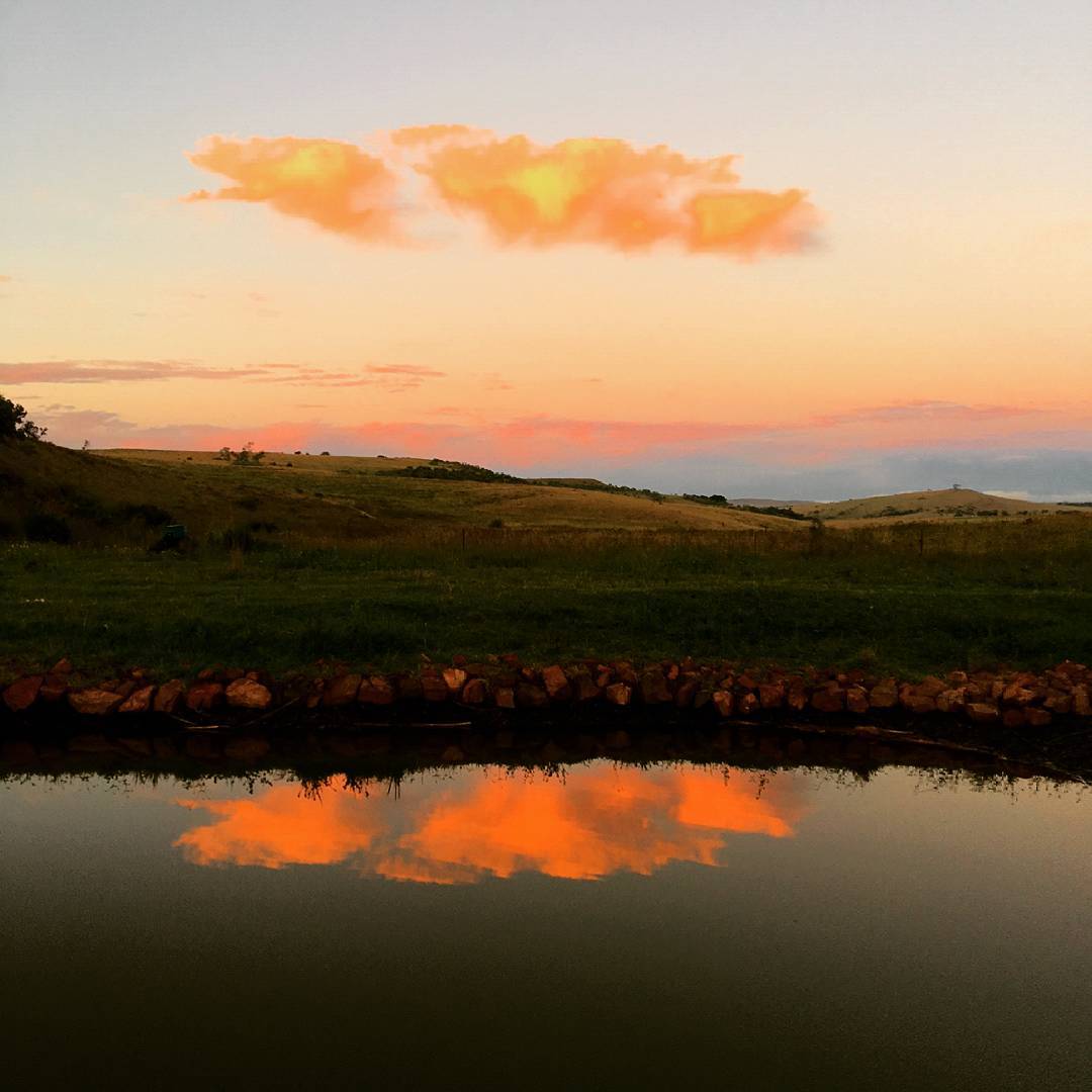 taeyeondeusa's tweet photo. 🇿🇦

#Sunset #Beautyful #Athmosphere #Sky #Magaliesburg #SouthAfrica #1893 https://t.co/wwIDEqmeOu