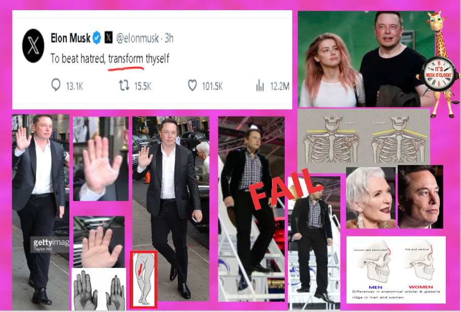 Whatever1297291's tweet photo. @sarrah_bellus Elon is biological female. Hormones work only for so long. https://t.co/RPlP66nJdU