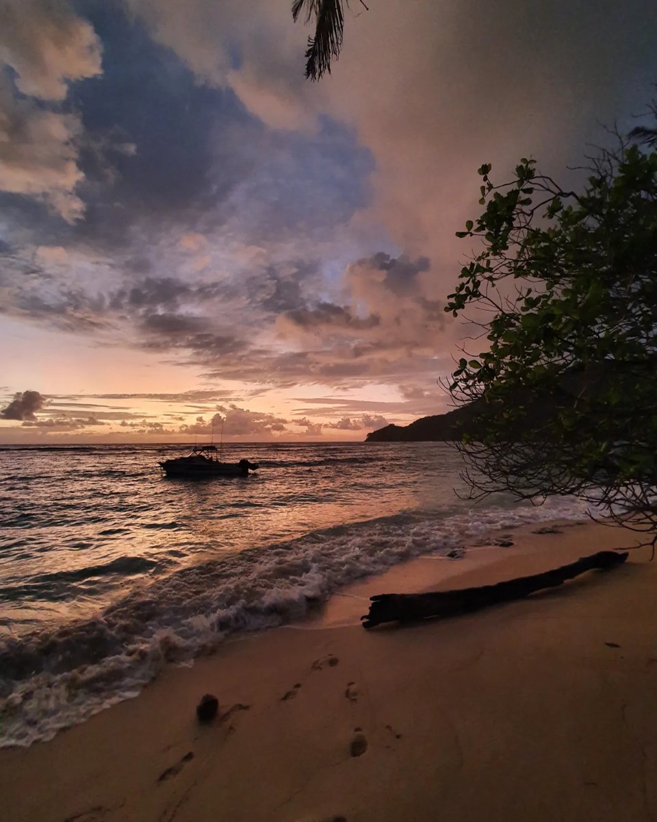 FC_OSANJINHOS's tweet photo. #paradise #sunrise #sunriselovers #sunrisephotography #sundown #sunrisesky #sunrisebeach #sunrisegram #sunrisecolors #sunrisehunter #photooftheday #sunriseoftheday #mahe #seychelles #seychellen #igsunrise #fotooftheday #bestvacations #worldplaces https://t.co/IjzAj2trAk