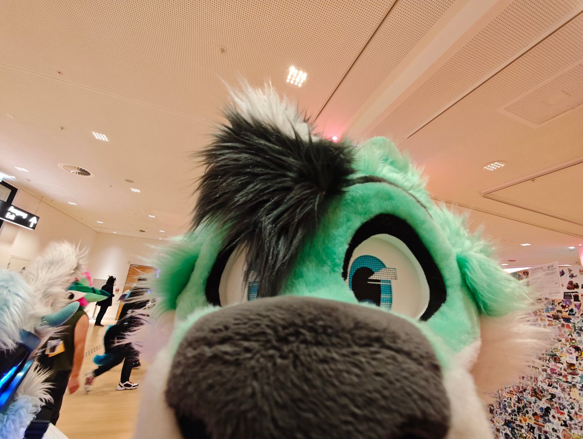 MintyWafflesky's tweet photo. Yooo it's BIRTHDAY TIME!!

So uh... Where's my cake? https://t.co/mJPGjo06yZ