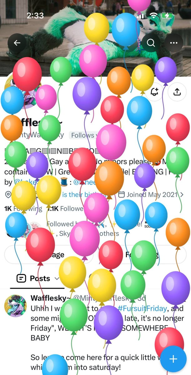 MintyWafflesky's tweet photo. Yooo it's BIRTHDAY TIME!!

So uh... Where's my cake? https://t.co/mJPGjo06yZ